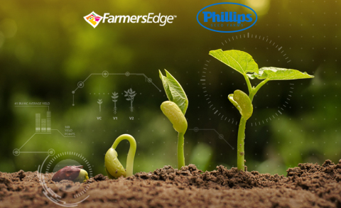 Farmers Edge and Phillips Seed Farms Inc. collaborate to offer innovative seed technology and digital agronomic tools to help growers maximize productivity and profitability. (Photo: Business Wire)