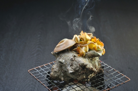 Shimoda Prince Hotel: Special Class Turban Shell Meat (Photo: Business Wire)