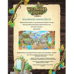 Learn more about the stats of Dollywood’s new Wildwood Grove.
