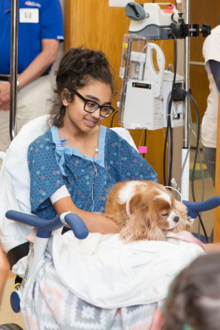 Therapy dog, Rosie, snuggles a patient at Children's National Health System thanks to the Animal Visitation and Pet Therapy Program. Today, Children's National and PetSmart Charities announced the animal welfare funder's commitment of more than $270,000 to expand the popular pet therapy program. With this critical funding support, the program hopes to expand from three dog and handler volunteer teams to up to 30 by 2019, serving more than 9,000 patients per year, compared with 480 in 2017. (Photo: Business Wire)