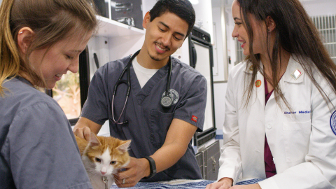 PetSmart Charities®, North America’s leading funder of animal welfare, is investing more than half a million dollars in the veterinarians who will be the future leaders of shelter medicine. Grants to veterinary schools and programs at 21 universities across North America will create new scholarships, research grants and student ambassadorships aimed at sparking veterinary students’ interest in shelter medicine as a viable and rewarding career path. Since 2015, PetSmart Charities has granted more than $6 million to leading veterinary colleges and universities to provide students with hands-on learning opportunities and experiential education. (Photo: Business Wire)