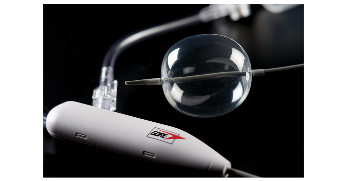 GORE® Molding & Occlusion Balloon for Endovascular Aortic Repair