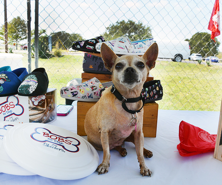 Skechers' BOBS for Dogs Campaign Helps 