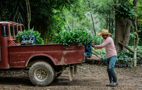 In response to critically low coffee prices in Central America, Starbucks has committed up to $20 million to temporarily relieve impacted smallholder farmers with whom Starbucks does business with in Nicaragua, Guatemala, Mexico and El Salvador (Photo: Business Wire)