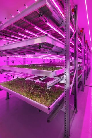 Stockbridge Technology Centre's Vertical Farming Development Facility (Photo: Business Wire)