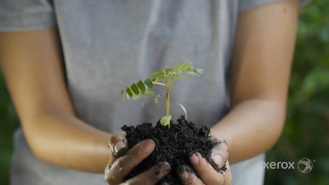 Xerox's Global CSR report focuses on the company's initiatives in sustainable services and products. One example features a program "You print one, we'll plant one"; through a partnership with PrintReleaf, Xerox customers can reduce their overall environmental footprint and help global reforestation.