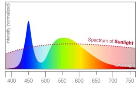 一般的な白色LEDのスペクトル。450nm付近は強く、480nm付近が弱い ((C) 2017 Toshiba Materials Co., Ltd.)