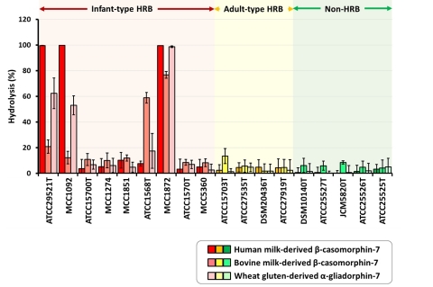 Fig 2. Degradation of food-derived opioid peptides by bifidobacteria (Graphic: Business Wire)