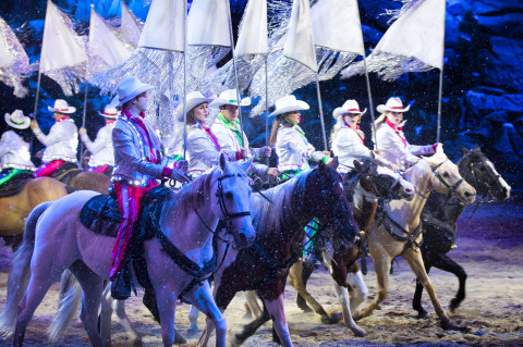 Stampede's 32 magnificent horses race one another in exciting competitions to the delight of audienc ... 