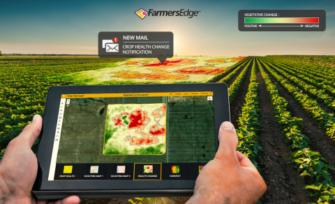 Новый цифровой инструмент Farmers Edge автоматически сканирует спутниковые снимки и уведомляет сельхозпроизводителей об изменениях на их полях (Фото: Business Wire)