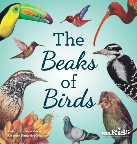 The Beaks of Birds (Photo: Business Wire)