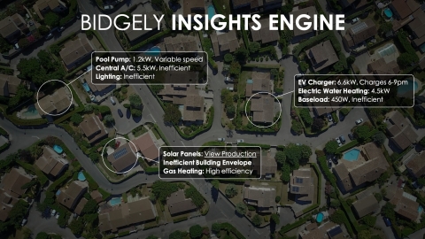 The Bidgely Insights Engine enables utilities to analyze homes based on appliance-level usage across all DSM programs to achieve highest adoption and lowest cost, such as how much to invest in pool pump rebate programs vs. an A/C tune-up program for a given population. (Graphic: Business Wire)