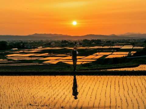 最優秀賞「Hope for good harvest（豊作への期待）」程同軍さん（中国出身）撮影（写真：ビジネスワイヤ）