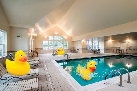 Just ask Ernie: Rubber duckies make pool time lots of fun. (Photo: Business Wire)