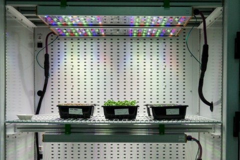 Osram's Phytofy RL connected horticulture research lighting system is comprised of smart lighting so ... 