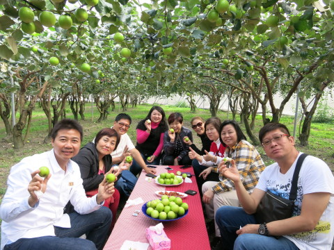 Tourists enjoy jujubes in Taiwan. Tourists can take fruit as a point of departure for diving deeper into local culture and features in Taiwan as they experience the pinnacle of seasonal flavor over the shortest distance between farm and table. (Photo: Business Wire)