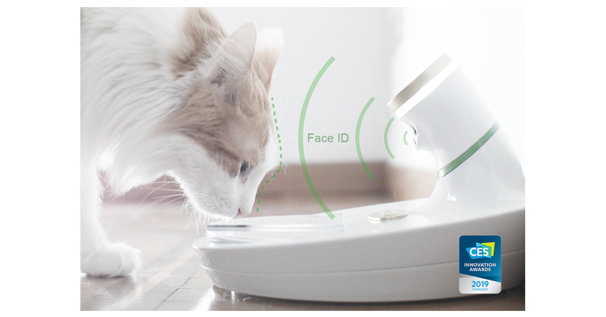 Cat feeder clearance that recognizes cat