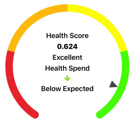 Consumer Health Score (Graphic: Business Wire)