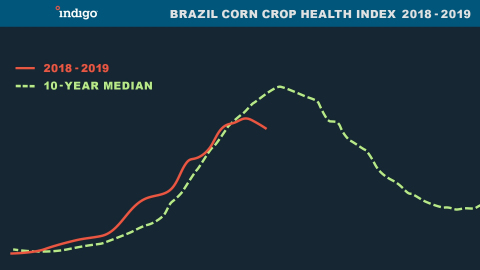 Brazil Corn Crop Health Index 2018 - 2019 (Graphic: Business Wire)