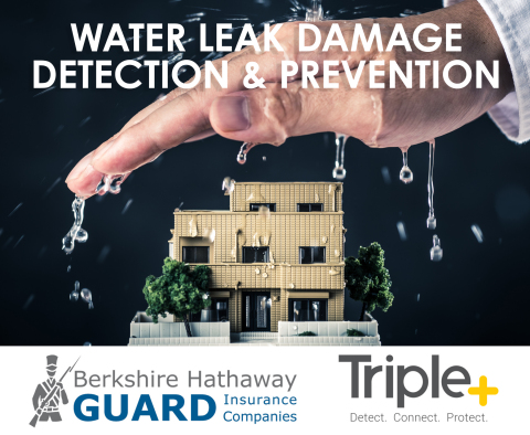 Triple+ and Berkshire Hathaway GUARD Insurance Companies Partner on Smart Water Leak Prevention Pilot Project (Photo: Business Wire)