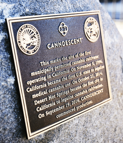 Canndescent's Municipal Plaque (Photo: Business Wire)
