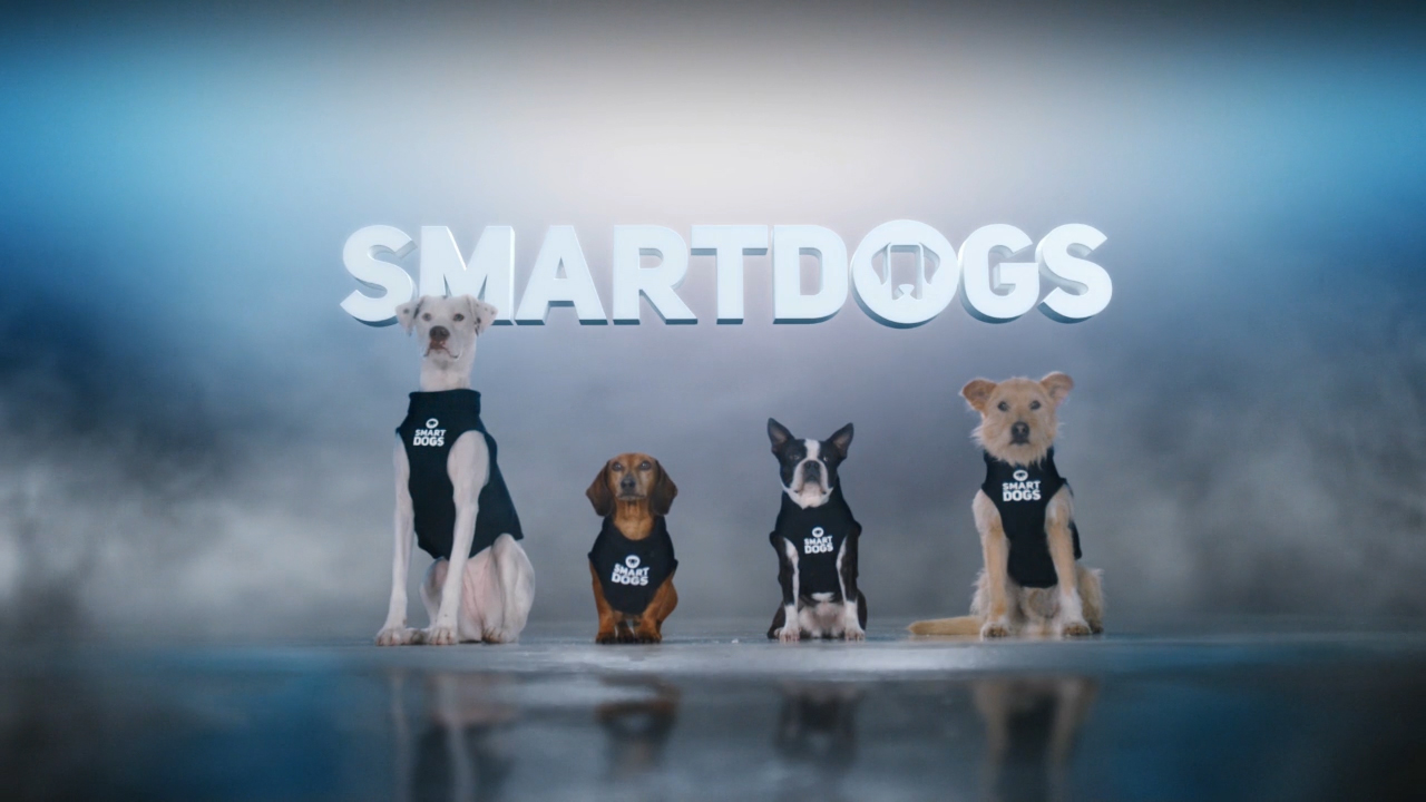 Can Smartdogs help stop distracted driving? Watch to find out!