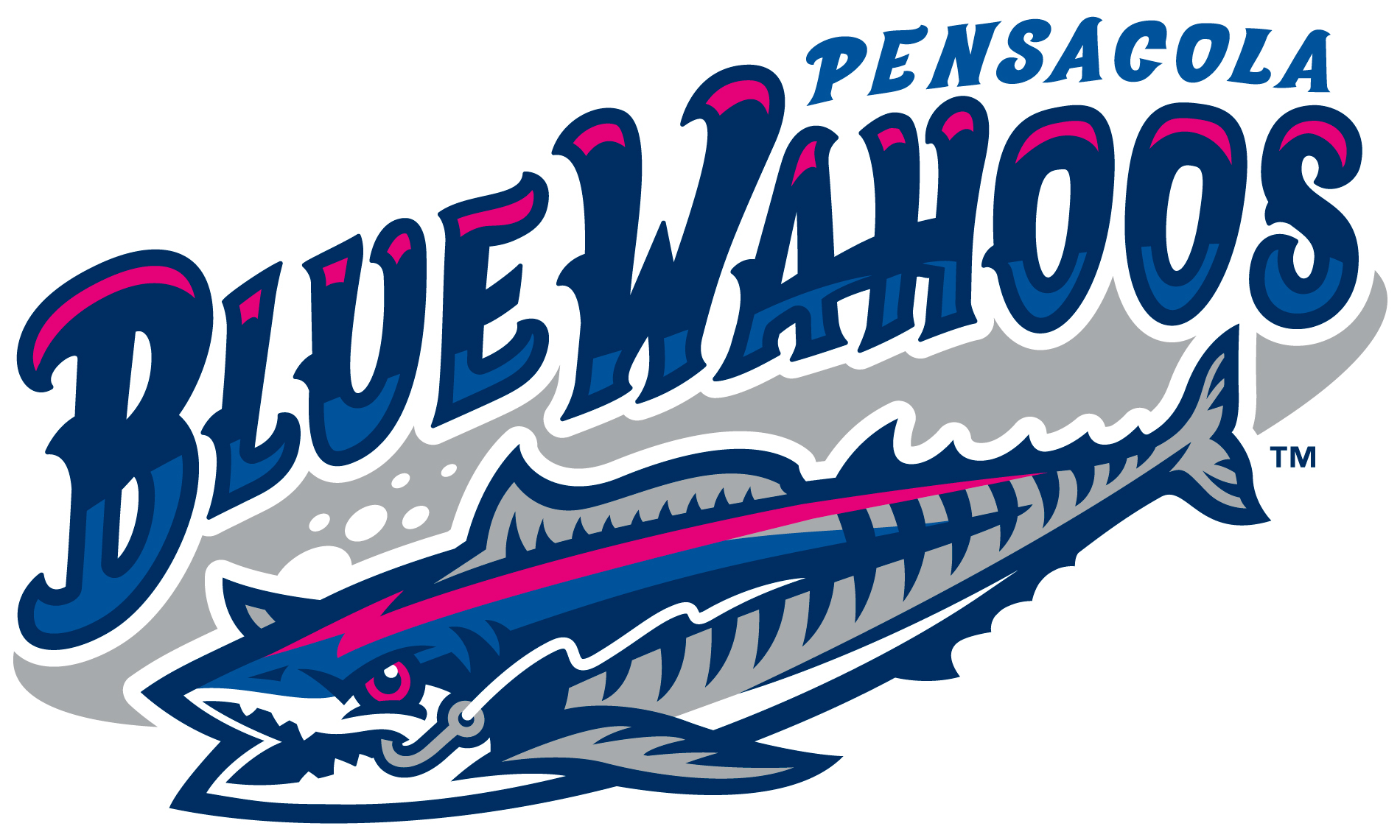 2016 Pensacola Blue Wahoos Kazoo Mascot – Go Sports Cards