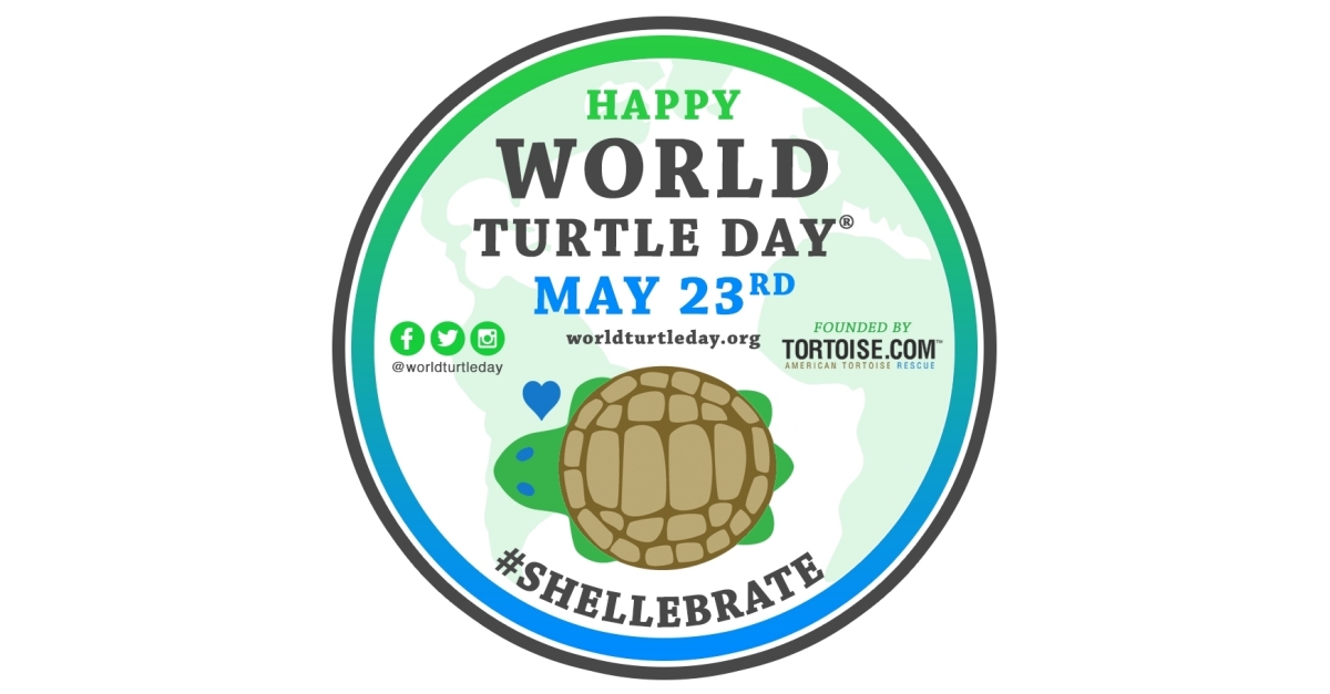 World tarikh day sambutan turtle