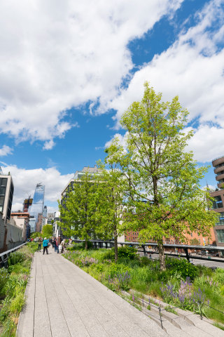 The High Line, the historic public park built on a freight rail line above the streets on Manhattan’ ... 