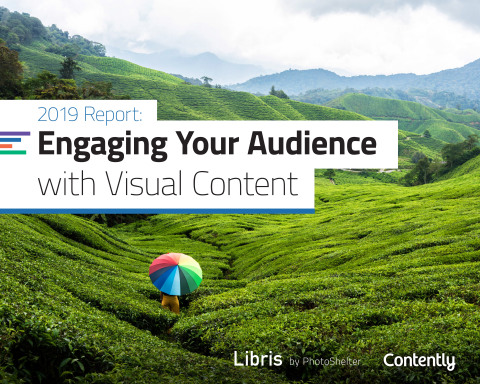 The 2019 report by Libris and Contently reveals how marketers are navigating growing demands for visual storytelling.