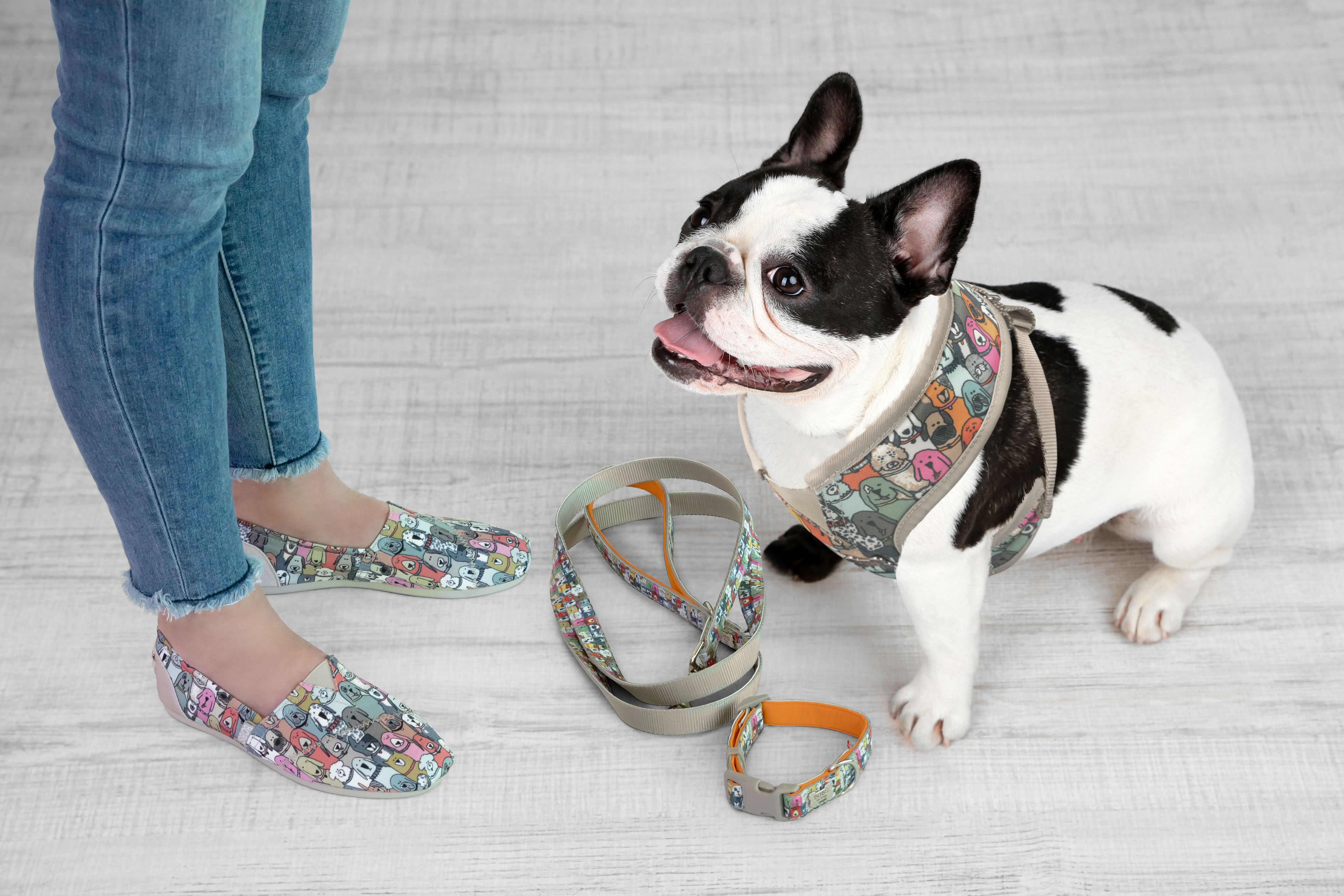 Subir y bajar mosaico de primera categoría BOBS from Skechers Footwear and Pet Accessory Charity Collection Arrives in  Petco Stores | Business Wire