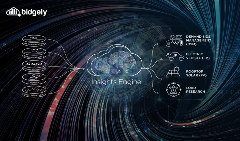 With the Insights Engine leveraged across a utility, the combined insights derived from applying AI to customer data enables multiple stakeholders to directly address challenges around four key areas: demand-side management (DSM), electric vehicles (EVs), solar PV and load research. (Graphic: Business Wire)