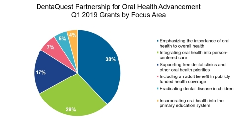 DentaQuest Partnership for Oral Health Advancement Q1 2019 Grants by Focus Area (Graphic: Business Wire)