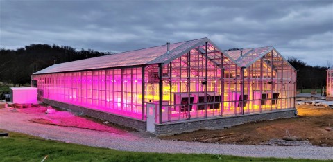 Current continues to expand in the horticulture space with the introduction of the Arize Element Top ... 