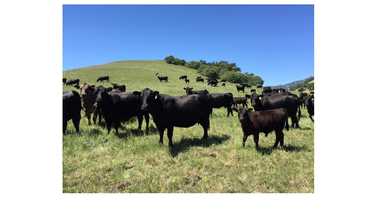 Perdue Premium Meat Company to Acquire Panorama Meats Business Wire