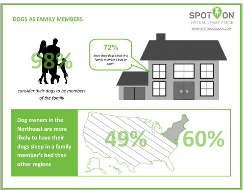 Nationwide survey, sponsored by SpotOn Virtual Smart Fence, found that 72 percent of dog owners have their dogs sleep in a family member's bed or room (Graphic: Business Wire)