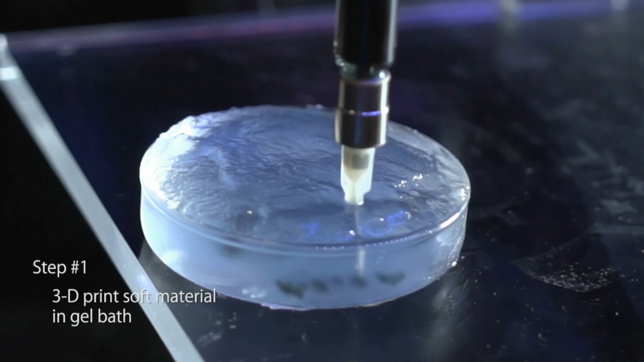 FluidForm's novel platform of Freeform Reversible Embedding of Suspended Hydrogels (FRESH) 3D printing enables fabrication of soft, biological scaffolds for applications in tissue engineering and regenerative medicine.