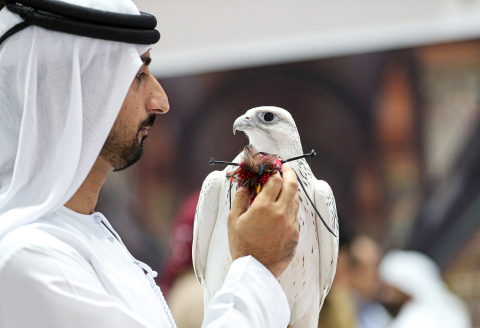 A glimpse of ADIHEX 2018 Edition (Photo: AETOSWire)