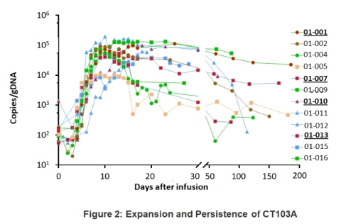Figure 2: Expansion and Persistence of CAR-T post-infusion. Line colors indicated responses at 14 days: Doses are 1(●), 3(■), 6(▲) x10(6) cells/kg; symbols filled with red are patients failed prior CAR-T therapy. (Data cutoff: 05/22/2019) (Graphic: Business Wire)