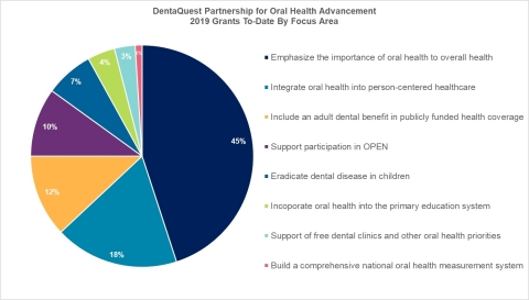 DentaQuest Partnership for Oral Health Advancement - 2019 Grants To-Date By Focus Area (Graphic: Business Wire)