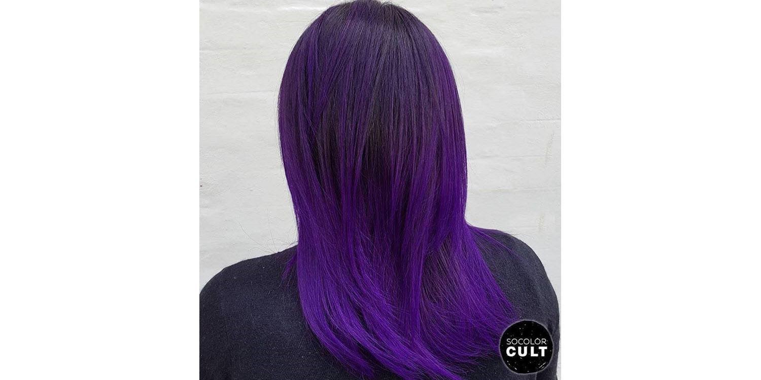 5 Purple Hair Color Looks Trending Right Now According to Matrix | Business  Wire