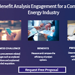 Cost benefit analysis engagement for a company in the energy industry.