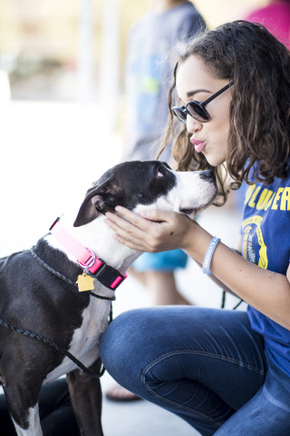 Skechers has helped save 396,000+ animals through its BOBS for Dogs and BOBS for Cats collections. (Photo: Business Wire)