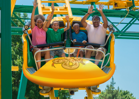 Sidewinder Safari is a thrilling new family coaster coming to Six Flags Discovery Kingdom, where guests will be sent on a wild ride featuring 1,378 feet of slithering track, multiple 360 degree sideway spins, rapid-strike drops, and hairpin curves. (Photo: Business Wire)