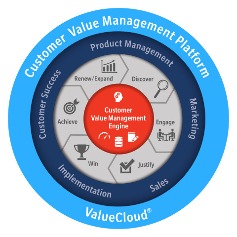 DecisionLink Customer Value Management Infographic (Graphic: Business Wire)