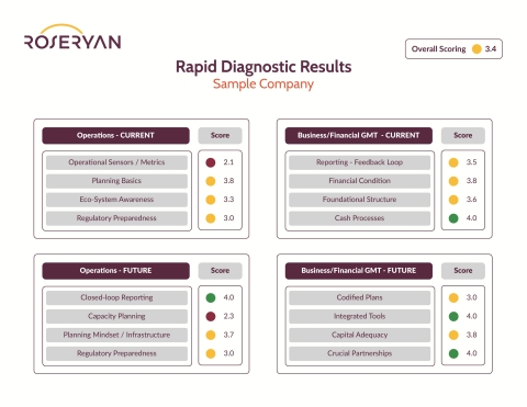 Is your startup ready to scale and sustain growth? The RoseRyan Rapid Diagnostic for Emerging Growth lets you know, by scoring key finance and operational areas on a scale of 1 to 5. Startups receive a scorecard like the one above at the end of the dialogue with the firm. (Graphic: Business Wire)