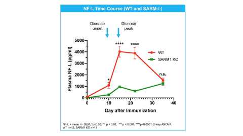 SARM1 genetic deletion reduces NfL and protects axons in EAE (Graphic: Business Wire)