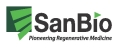 SanBio Granted Regenerative Medicine Advanced Therapy Designation from the U.S. FDA for SB623 for the Treatment of Chronic Neurological Motor Deficits Secondary to Traumatic Brain Injury