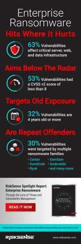 RiskSense Spotlight Report Exposes Top Vulnerabilities used in Enterprise Ransomware Attacks (Graphic: Business Wire)