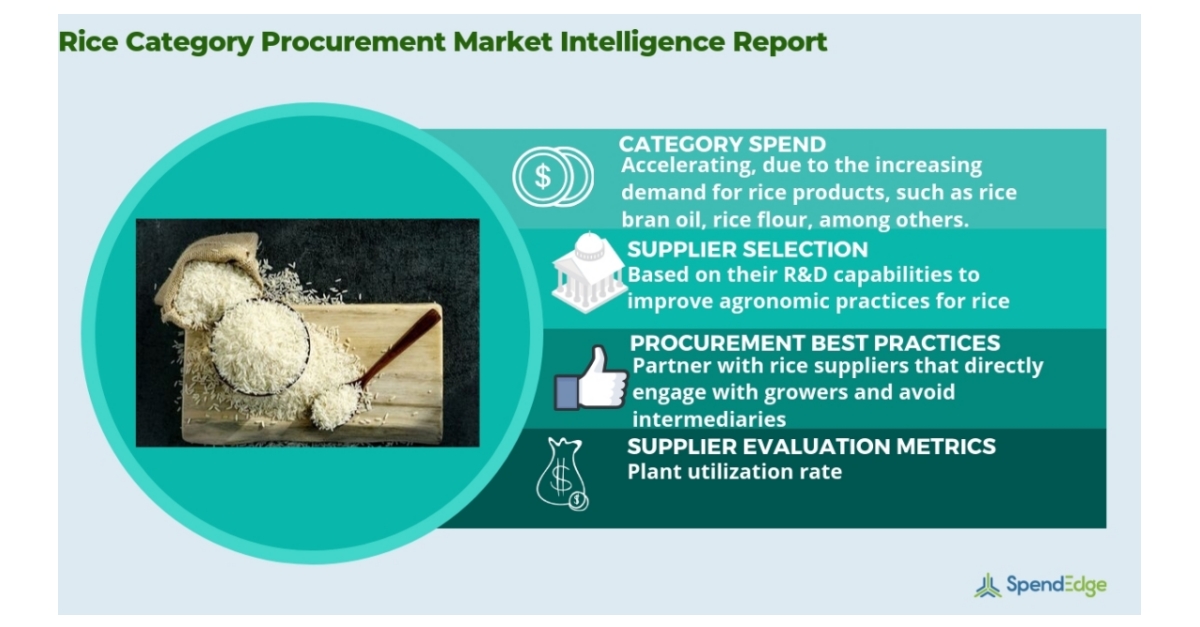 Rice Market Procurement Intelligence Report, Rice Price, Rice